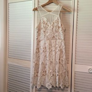 Francescas Cream Lace Dress